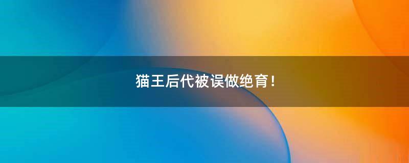 貓王后代被誤做絕育！