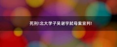 死刑!北大學子吳謝宇弒母案宣判!