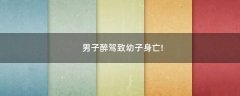 男子醉駕致幼子身亡!
