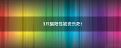 3只貓陽(yáng)性被安樂(lè)死!