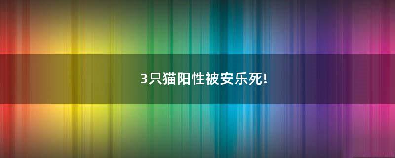 3只貓陽性被安樂死!