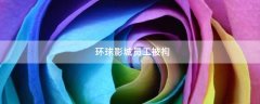 環(huán)球影城員工被拘