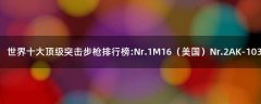 世界十大頂級(jí)突擊步槍排行榜:Nr.1 M16（美國(guó)）Nr.2 AK-103（俄羅斯）