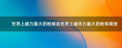 世界上威力最大的槍排名 世界上破壞力最大的槍有哪些