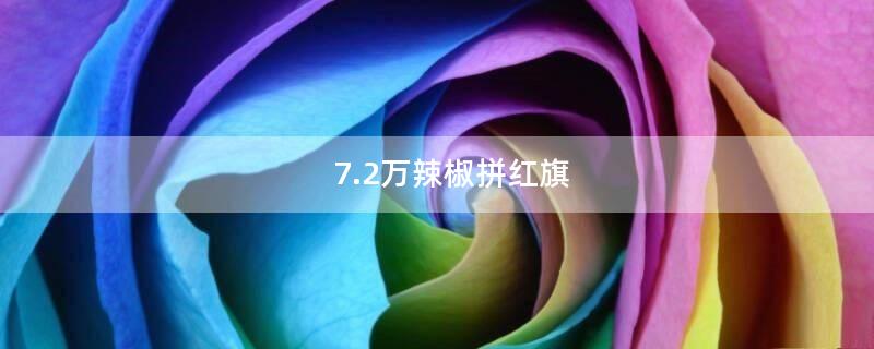 7.2萬(wàn)辣椒拼紅旗