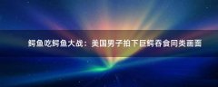 鱷魚(yú)吃鱷魚(yú)大戰(zhàn)：美國(guó)男子拍下巨鱷吞食同類畫(huà)面