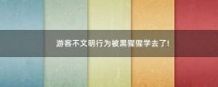 游客不文明行為被黑猩猩學(xué)去了!