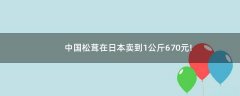 中國松茸在日本賣到1公斤670元!