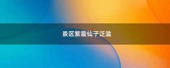 景區(qū)紫霞仙子泛濫