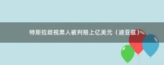 特斯拉歧視黑人被判賠上億美元（迪亞茲）