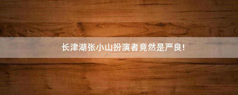 長(zhǎng)津湖張小山扮演者竟然是嚴(yán)良!