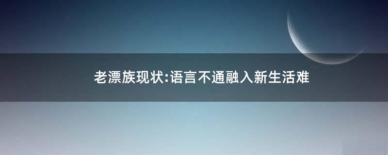 老漂族現(xiàn)狀:語(yǔ)言不通 融入新生活難