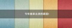 今年南旱北澇的原因!