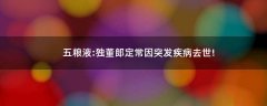 五糧液:獨(dú)董郎定常因突發(fā)疾病去世!
