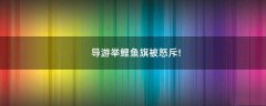 導(dǎo)游舉鯉魚旗被怒斥!