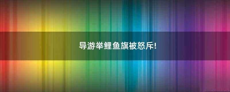導(dǎo)游舉鯉魚旗被怒斥!
