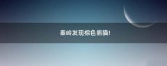 秦嶺發(fā)現(xiàn)棕色熊貓!