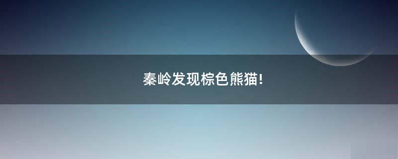 秦嶺發(fā)現(xiàn)棕色熊貓!