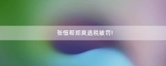 張恒幫鄭爽逃稅被罰!