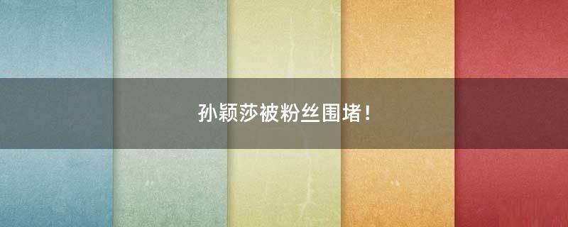 孫穎莎被粉絲圍堵！