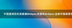 中國(guó)通緝犯在美被捕 “快鹿系”金融詐騙案要犯施建祥