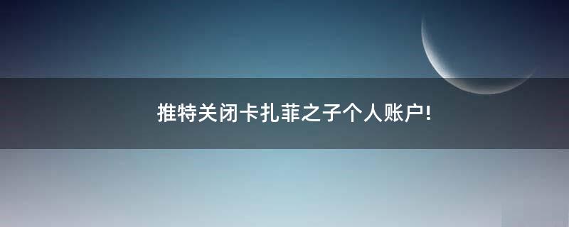 推特關(guān)閉卡扎菲之子個(gè)人賬戶!