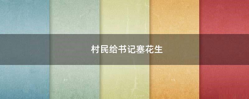 村民給書(shū)記塞花生