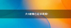 大S被曝已起訴離婚!