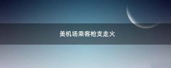 美機(jī)場乘客槍支走火