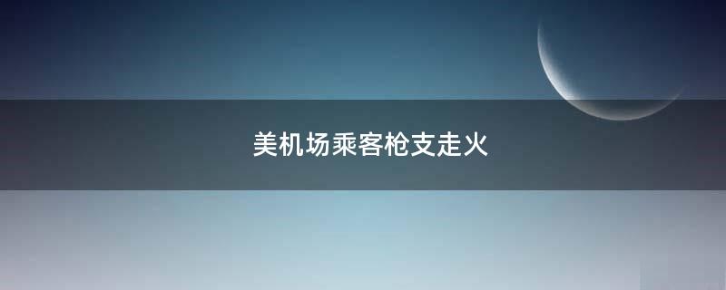 美機(jī)場(chǎng)乘客..走火