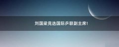 劉國梁競選國際乒聯(lián)副主席!