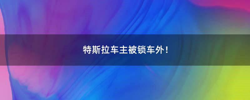 特斯拉車主被鎖車外！