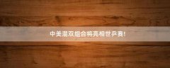 中美混雙組合將亮相世乒賽!