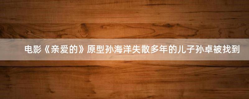 電影《親愛的》原型孫海洋失散多年的兒子孫卓被找到