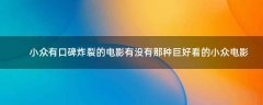 小眾有口碑炸裂的電影 有沒(méi)有那種巨好看的小眾電影