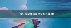網(wǎng)紅雪梨林珊珊社交賬號被封!