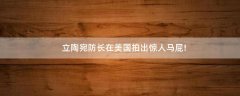 立陶宛防長(zhǎng)在美國(guó)拍出驚人馬屁!