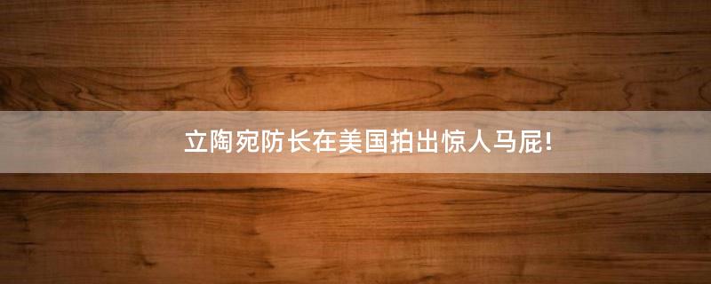 立陶宛防長在美國拍出驚人馬屁!