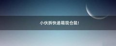 小伙拆快遞箱現(xiàn)倉鼠!