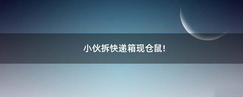 小伙拆快遞箱現(xiàn)倉鼠!