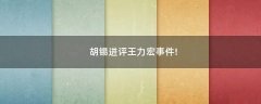 胡錫進評王力宏事件!