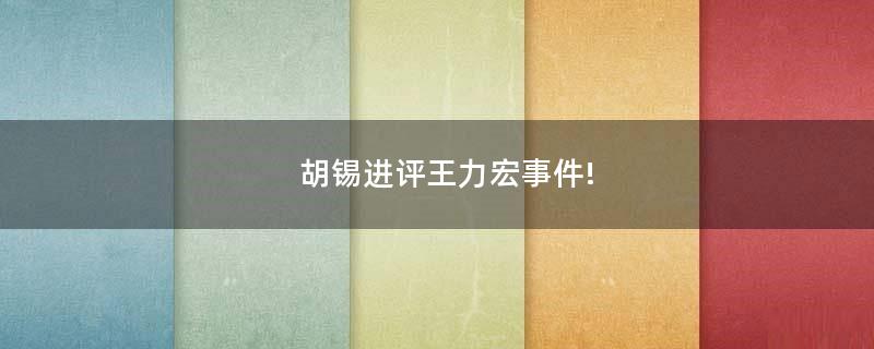 胡錫進(jìn)評(píng)王力宏事件!
