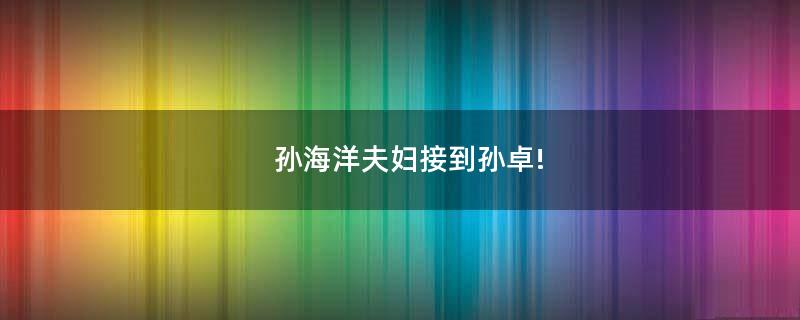 孫海洋夫婦接到孫卓!