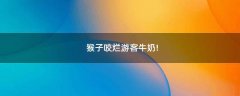 猴子咬爛游客牛奶!