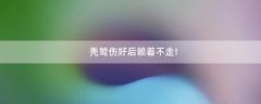 禿鷲傷好后賴著不走!