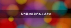華為首款鴻蒙汽車正式發(fā)布!