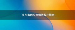文在寅回應(yīng)為何特赦樸槿惠!