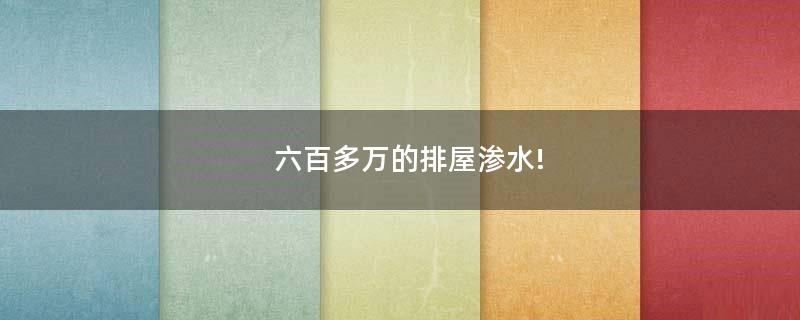 六百多萬的排屋滲水!