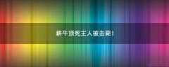 耕牛頂死主人被擊斃！