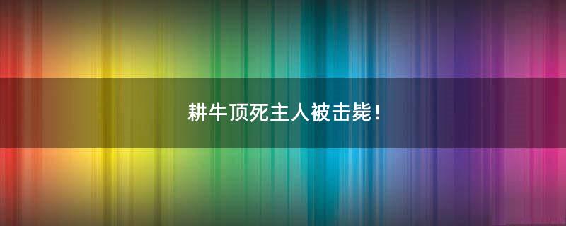 耕牛頂死主人被擊斃！